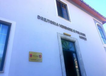 “Audi” me emigrantë të paligjshëm tenton t’i largohet policisë dhe përplaset me një furgon, bien në pranga 4 persona