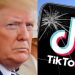 TikTok ndez sërish debate të forta/ Urdhri i Trump: Të largohet nga SHBA brenda 90 ditësh