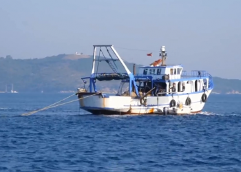 Video/ “Peshkimi industria që po rritet çdo vit, nga politikat e qeverisë”, historia e Leonidhës nga Saranda