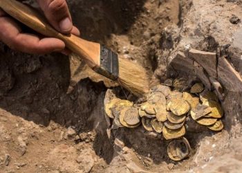 Shkuan me pushime, kthehen me pasurinë e çmendur prej 425 monedhash floriri