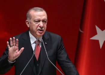 Ushtria greke i afrohet Turqisë, Erdogan: Nuk përulemi…