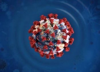 Kufijtë e Europës sërish të pa depërtueshëm: Franca masa ndaj udhëtarëve anglezë