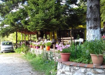 E rëndë në Llogara/ Recepsionisti i një kompleksi gjendet pa shenja jete, dyshimet e para të policisë