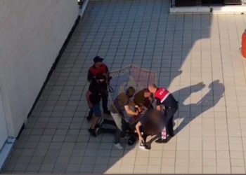 Pamjet me dron të Policisë/ Momenti kur e shtrijnë në tokë organizatorin e ngjarjes së Tushemishtit
