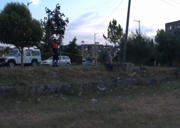 Plagosja e 31-vjeçarit në Patos/ Identifikohet autori, Policia shoqëron dy persona