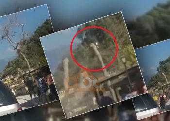 Punonjësi i bashkisë në Berat ra nga pema e humbi jetën/ Avokati: Inxhinieri atë ditë kishte shenja të COVID-i, s’ishte në punë