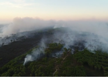 Pamje me dron/ Zjarri po shkrumbon 20 ha në pyllin e Semanit, në aksion dhe ushtria