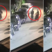 VIDEO/ Dy atentate ndaj hotelit në Tushemisht, policia kap “Lilin e Rushkës’ dhe 3 bashkëpunëtorët
