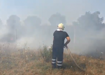 Kavajë/ Zjarr i madh në parcelat e Karpës, tre zjarrfikës mundohen të mbajnë flakët larg banesave