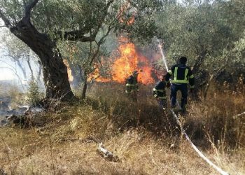 Ndezi zjarr për të pastruar tokën dhe flakët i përfshijnë banesën. Humb jetën 79-vjeçari teksa po përpiqej ta shuante