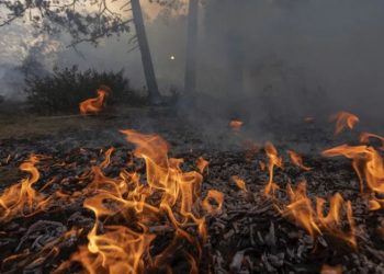 FOTO/ Zjarr masiv në SHBA, të paktën 8000 veta braktisin shtëpitë