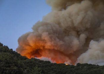 FOTO/ Zjarr masiv në SHBA, të paktën 8000 veta braktisin shtëpitë