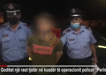 Operacioni “Perimetri”/ Pranga dy personave, transportonin tre emigrantë