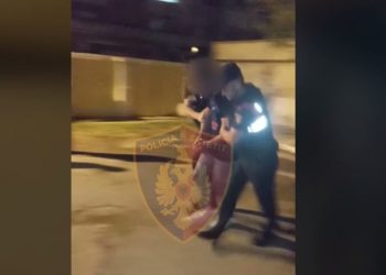 Arrestohet indiani në Qafë Thanë, tentoi të kalonte kufirin me pasaportë false. Një tjetër me armë