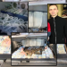 Zbardhet dosja e “Los Blancos”/ Kush është Vladimir Lesaj, raportuesi dhe financieri i Eldi Dizdarit, monitoronte ngarkesat në Itali