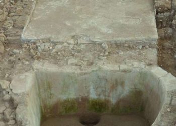 Zbulohet një kantinë fenikase, fakton prodhimin e verës 2600 vite më parë