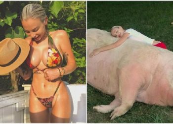Modelja seksi i çudit të gjithë! Merr si kafshë shtëpiake një… derr 500 kile!