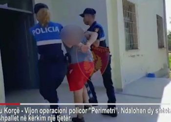 (VIDEO) Transportuan 25 emigrantë të paligjshëm, policia e Devollit pranga dy personave