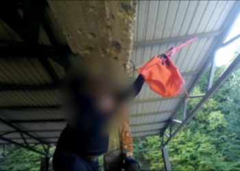 Hoqi flamurin kombëtar shqiptar, policia nis procedimin ndaj priftit serb