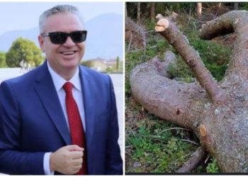 “Një përgjigje për Brisidën famoze”, Murrizi për ish-drejtoreshën e Tatimeve: Bletë punëtore që çon mjaltin në kosheren e Metës