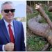 “Një përgjigje për Brisidën famoze”, Murrizi për ish-drejtoreshën e Tatimeve: Bletë punëtore që çon mjaltin në kosheren e Metës