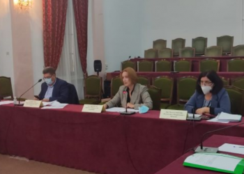 Prezantohet projekt-buxheti i vitit 2021, Denaj: Pritet të rikthehet rritja ekonomike në 5.5%