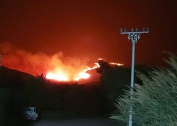 Kodrat e Tragjasit/ Digjen parcela me ullinj dhe kullota, nuk hyjnë dot zjarrfikësit