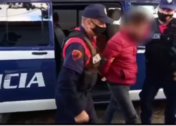 Video/ 300 deri në 1300 euro për të kaluar nga Tirana drejt BE, kapen 30 klandestinë dhe arrestohen 2 transportuesit
