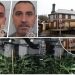 E kishin shndërruar lokalin në një fermë droge/ Dënohen shqiptarët në Uells që u kapën me 50 mijë paund kanabis