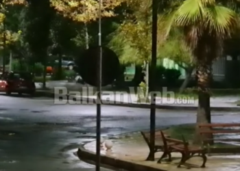 VIDEO/ Ja momenti kur Forcat Xheniere në Vlorë shpërthejnë në mënyrë të kontrolluar pakon me eksploziv