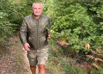 Pas ecjes në pyllin me Gështenja, Meta nuk harron sulmet e ditës: Vendi po rrëshket drejt një junte me “grusht të hekurt”