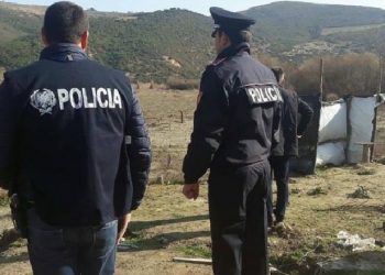 S’kontrolluan për kanabis. Lleshaj shkarkon dy shefa policie