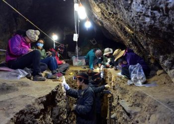 Zbulohet në një shpellë ADN-ja e “Homo Denisova”, species që ka jetuar 160 mijë vite më parë