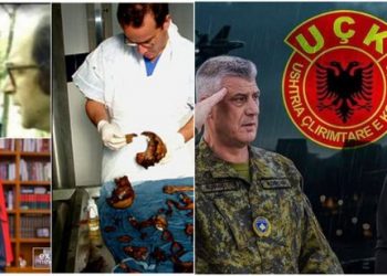 Avokatja e njohur akuza Bashës: Mund të përdoresh nga Haga si dëshmitar kundër UÇK-së
