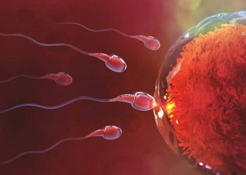 Steriliteti tek femrat: Arsyet pse nuk jeni duke mbetur shtatzënë