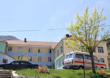 E rëndë/ Qentë endacak kafshojnë fëmijën 4-vjeçar në Bulqizë