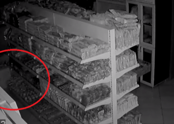 Pamje nga tërmeti në Tetovë, e shkund dyqanin dhe i rrëzon të gjitha gjërat