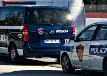 Tragjike/ Fëmija i mitur vret babain e tij, ishte efektiv i FNSH-së