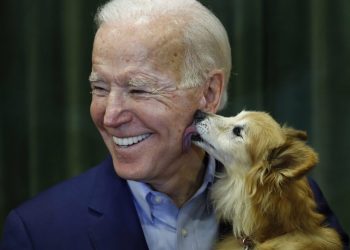 Pasi theu këmbën duke luajtur me qenin, shikoni si shkon Joe Biden në intervistë