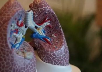 Studimi ‘qetëson’ të mbijetuarit nga Covid: Mushkëritë shërohen vetë brenda tre muajve