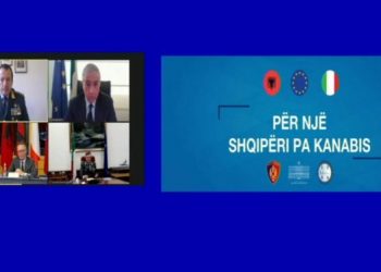 Suksesi i Shqipërisë në luftën kundër kanabisit konfirmohet edhe nga Italia: Gjatë vitit 2020 u arrit minimumi historik i trafikimit