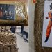 275 kg drogë me stampën “Dragon Ball”/ Tre shqiptarë në pranga në Itali