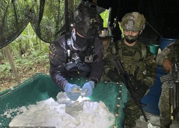 Kolumbia/Shkatërrohet një laborator gjigant kokaine, bazë për narko-nëndetëset