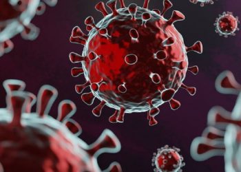 Harta e përhapjes së variantit britanik të koronavirusit rritet