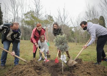 Ajri dhe Stina në ditën e lindjes i shtojnë dy ullinj Parkut të Liqenit të Tiranës,