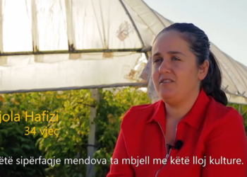 Video/ Histori suksesi: Njihuni me 34-vjeçaren nga Preza që realizoi ëndrrën e kultivimit të mjedrës