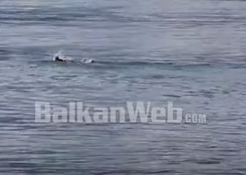 VIDEO/ Nuk pyet për temperaturat, burri e nis Vitin e Ri duke u larë në det