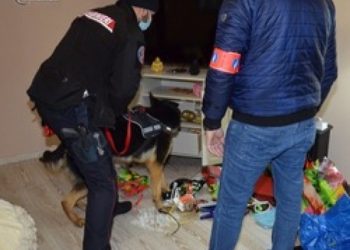 ‘Furnizonin’ vende të BE me kokainë kolumbiane, si ranë në pranga dy të rinjtë shqiptarë në Itali
