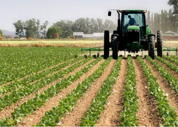 VIDEO/ Kryeministri Rama jep lajmin e mirë për fermerët: Aplikoni në e-Albania për të marrë falas naftën