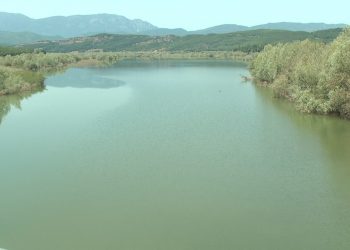 Gjendet trupi i një 23-vjeçari të mbytur në liqenin e Ulzës, familjarët: Vuante nga depresioni